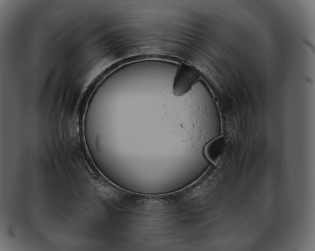 X0000093391070200710191149