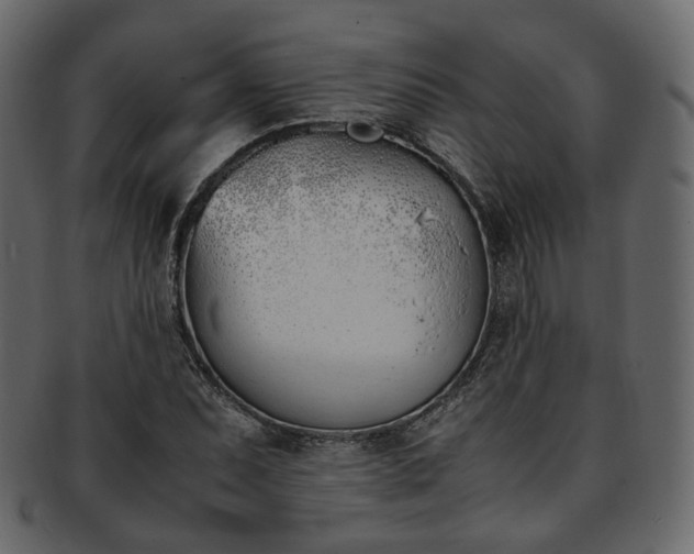 X0000093391071200710191149