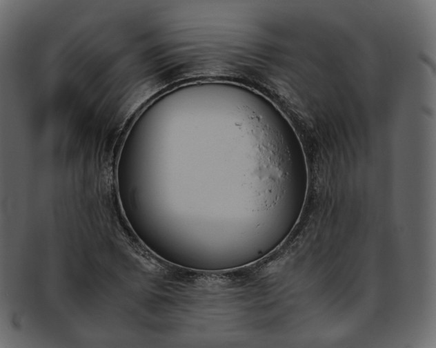 X0000093391073200710191149