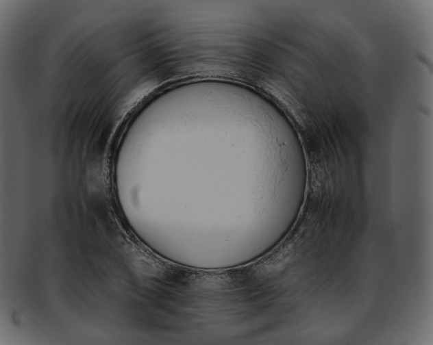 X0000093391074200710191149