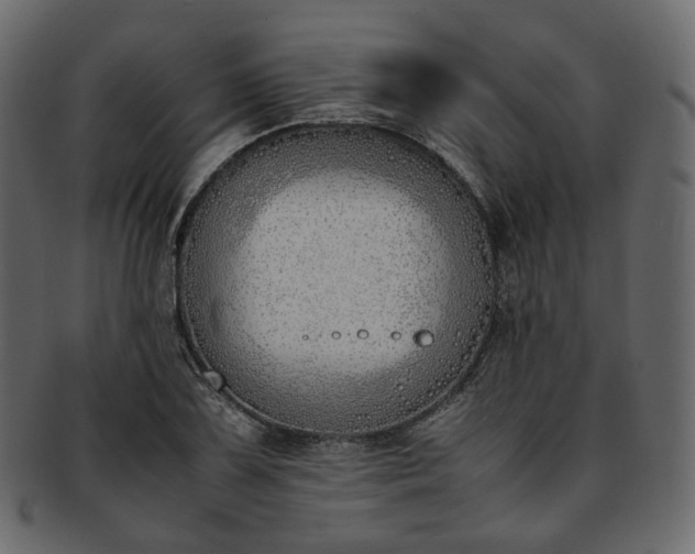 X0000093391075200710191149