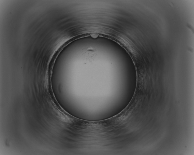 X0000093391076200710191149