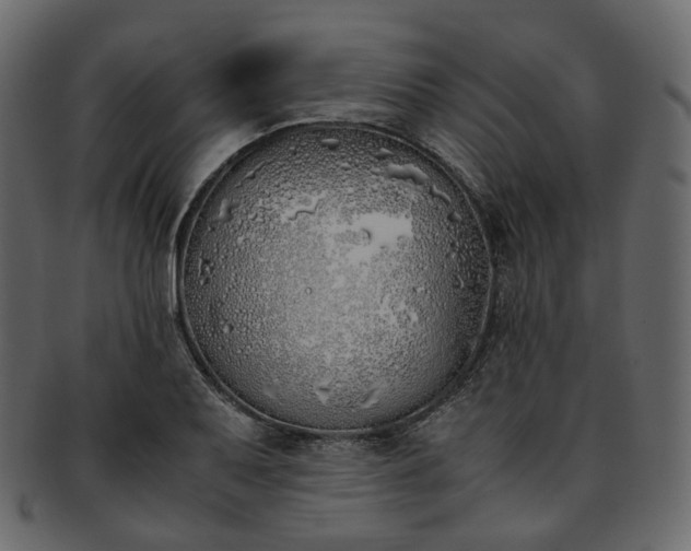 X0000093391079200710191149