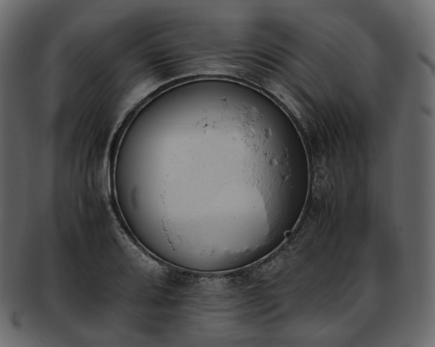 X0000093391080200710191149