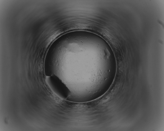 X0000093391081200710191149