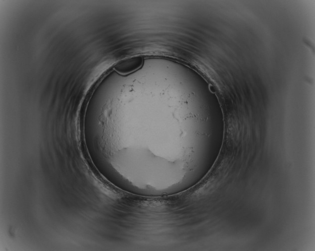 X0000093391082200710191149