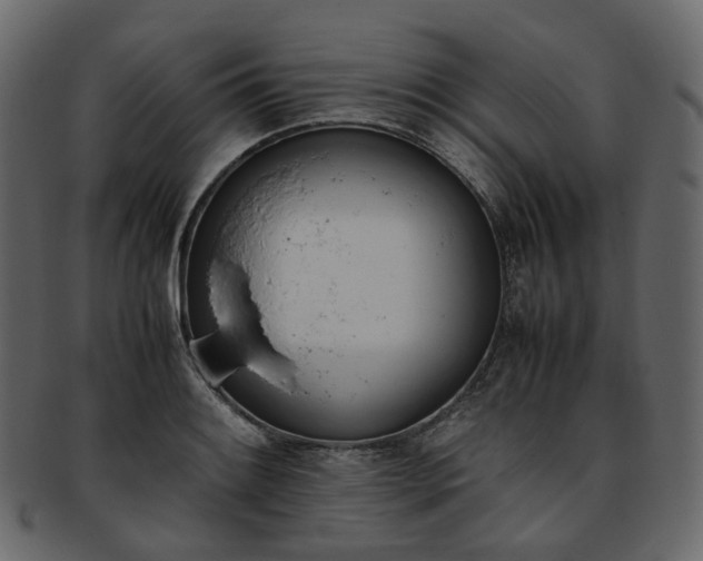 X0000093391084200710191149