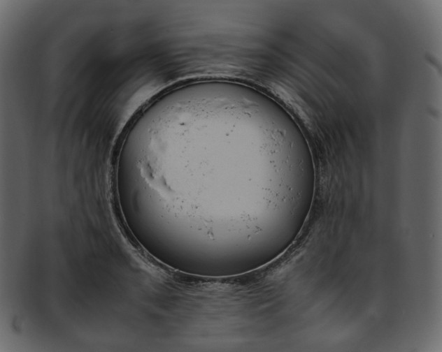 X0000093391085200710191149