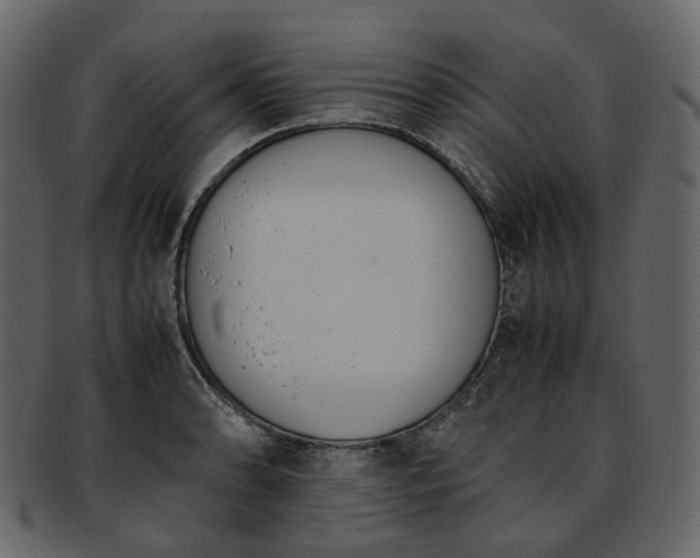 X0000093391086200710191149