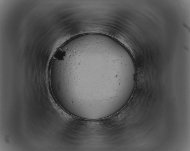 X0000093391088200710191149