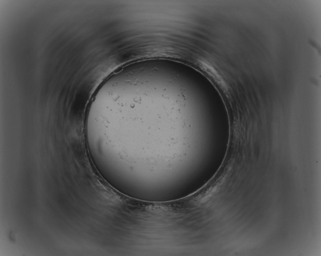 X0000093391089200710191149