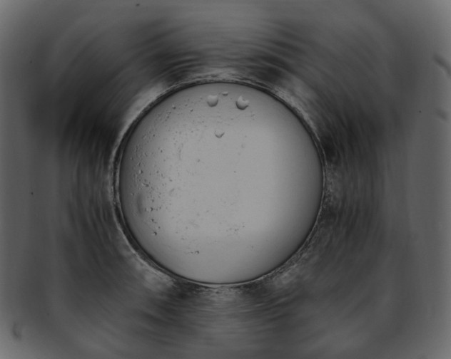 X0000093391090200710191149