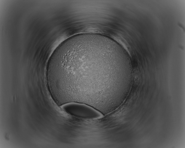 X0000093391091200710191149