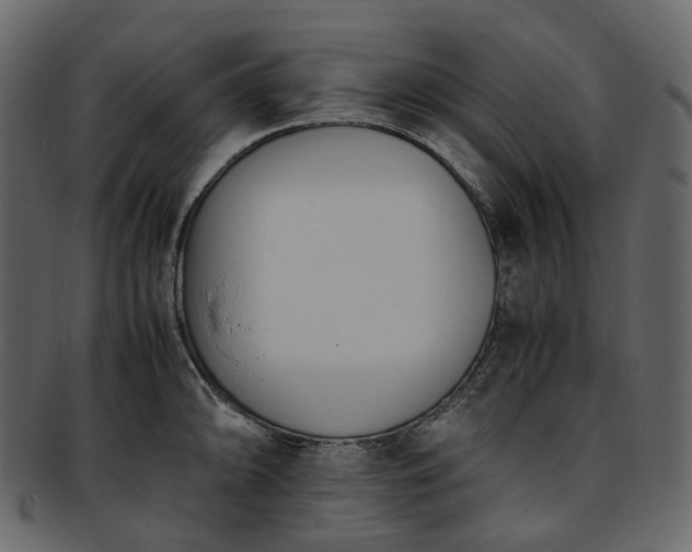 X0000093391094200710191149