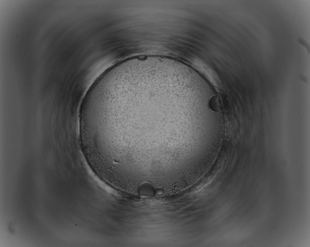 X0000093391095200710191149