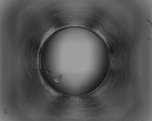 X0000093391096200710191149