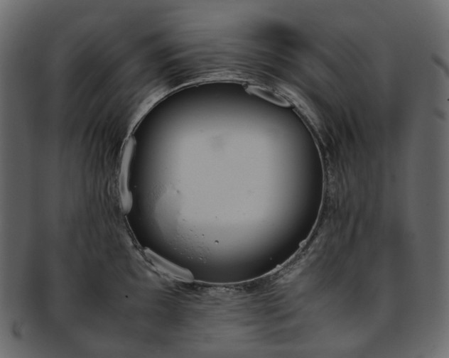 X0000093391097200710191149