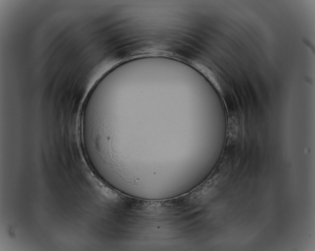 X0000093391098200710191149