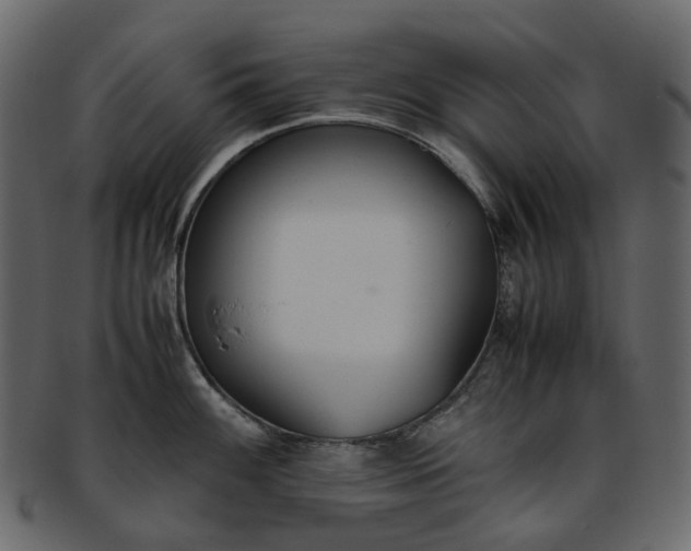 X0000093391100200710191149