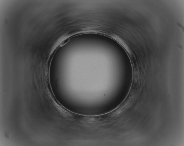 X0000093391101200710191149