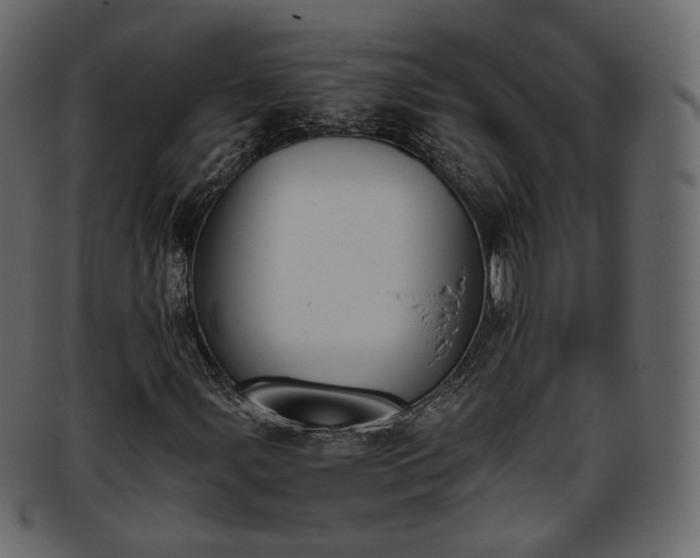 X0000093391107200710191148