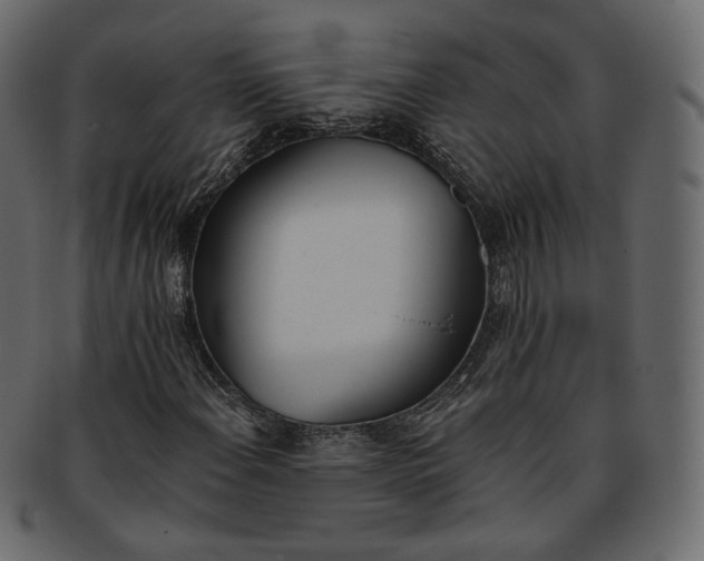 X0000093391108200710191148