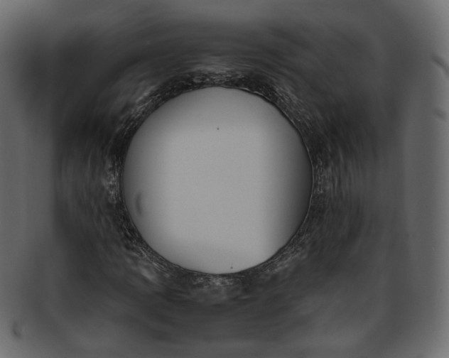 X0000093391109200710191148