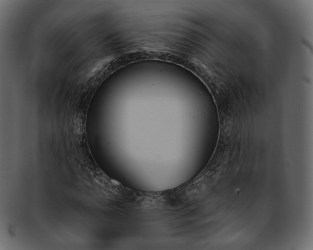 X0000093391110200710191148