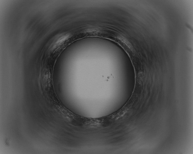 X0000093391111200710191148