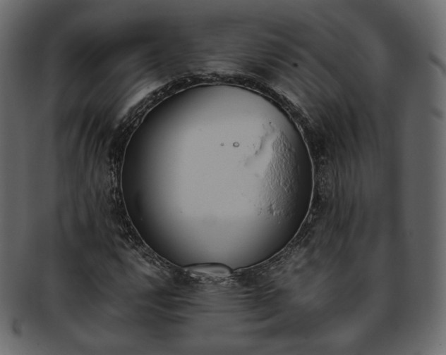 X0000093391112200710191148