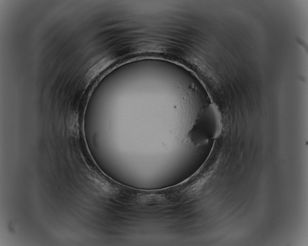 X0000093391113200710191148