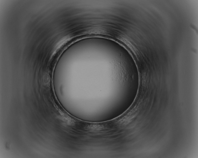 X0000093391115200710191148