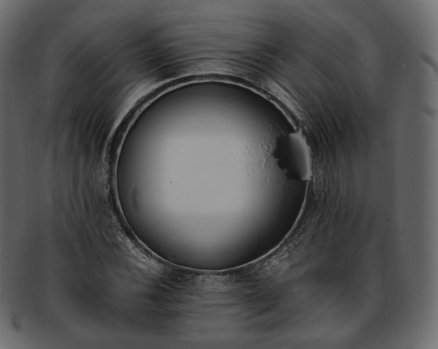 X0000093391116200710191148