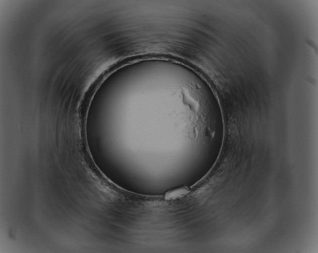 X0000093391118200710191148