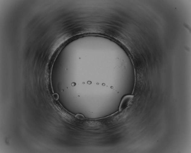 X0000093391119200710191148