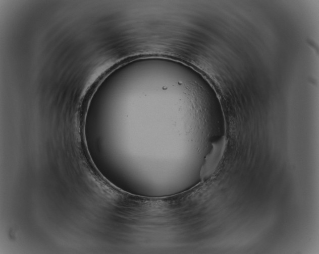 X0000093391120200710191148