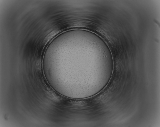 X0000093391121200710191148