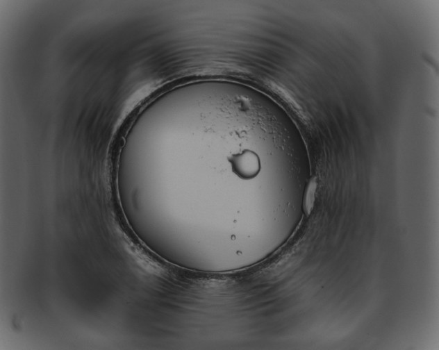 X0000093391122200710191148