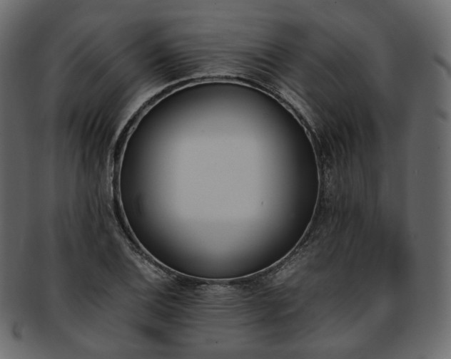 X0000093391124200710191148