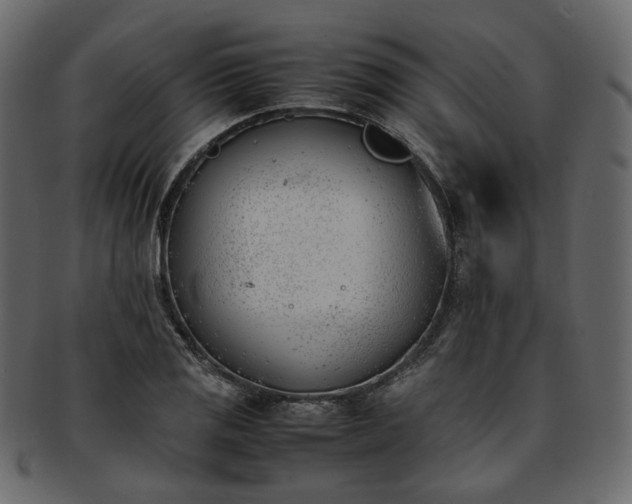 X0000093391125200710191148