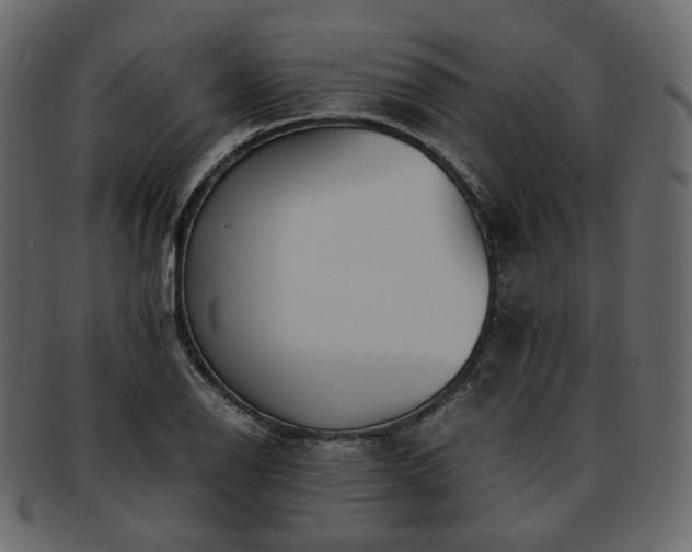 X0000093391126200710191148