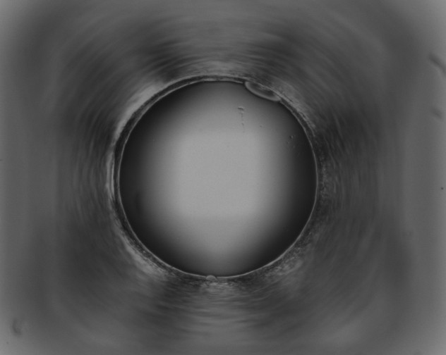 X0000093391128200710191148