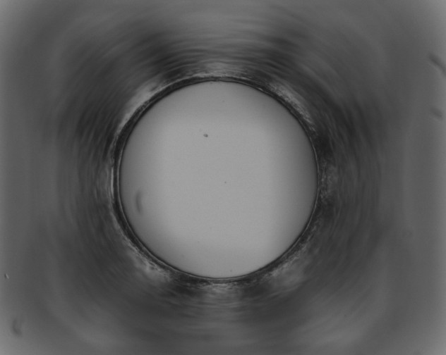 X0000093391130200710191148