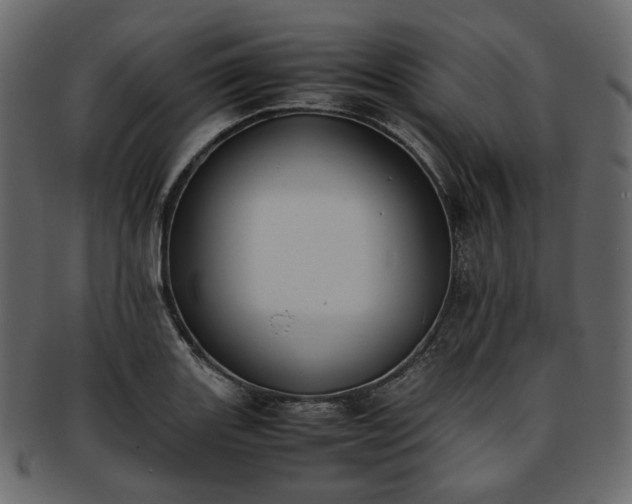 X0000093391131200710191148