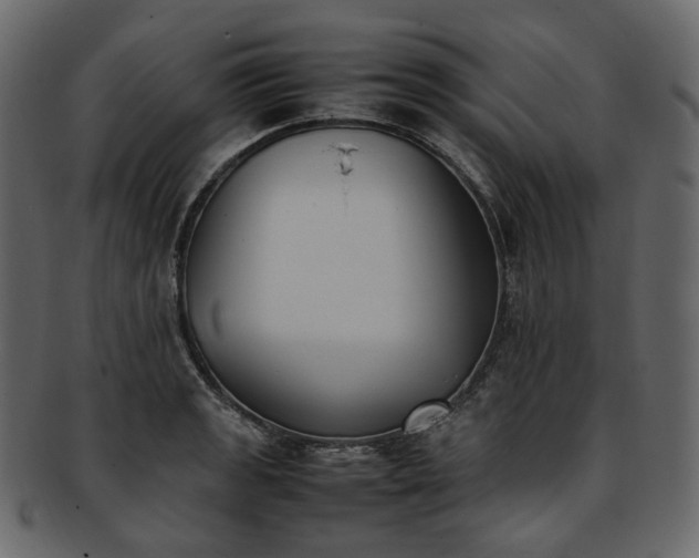 X0000093391133200710191148