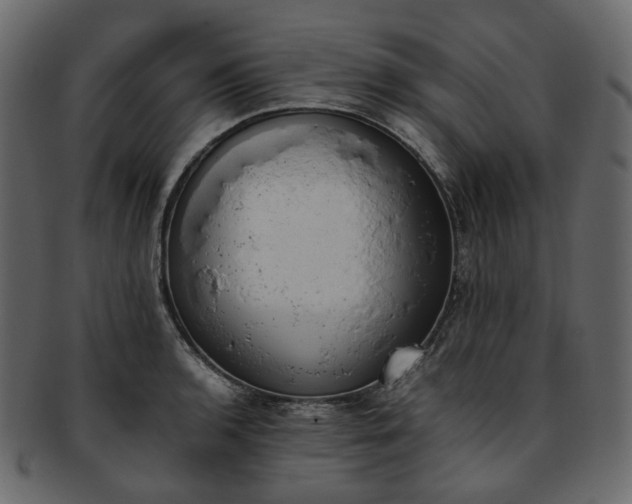 X0000093391136200710191148