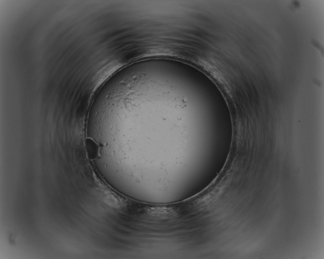 X0000093391137200710191148