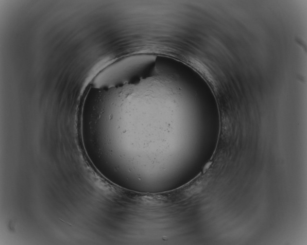 X0000093391138200710191148