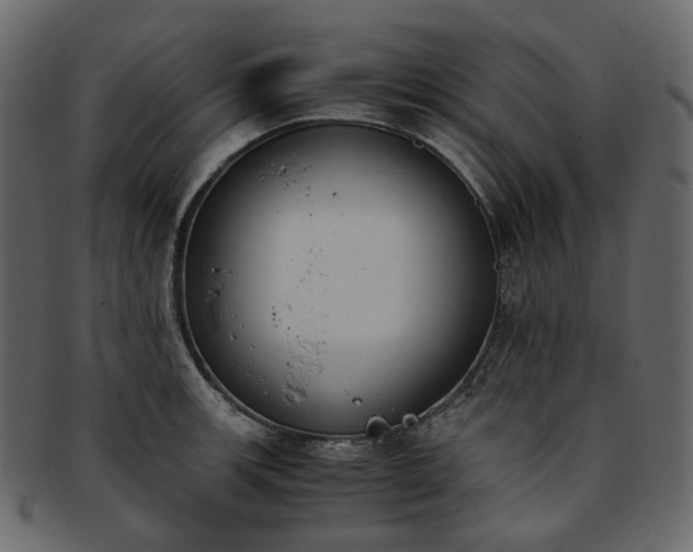 X0000093391139200710191148