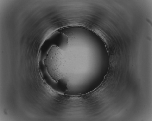 X0000093391140200710191148